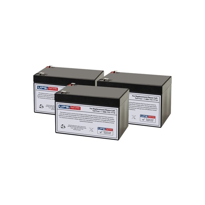 Mototek MotoTec 350w Electric Trike Battery Set