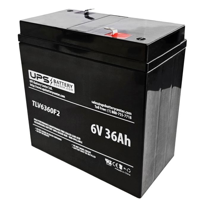 Dantona 6V 36Ah LEAD-6-36PS Battery with F2 Terminals