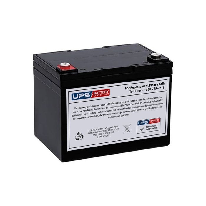 Raythunder 12V 33Ah NP33-12 Replacement Battery with M5 Terminals