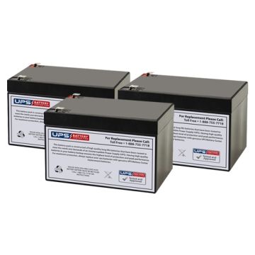 Mototek MotoTec 350w Electric Trike Battery Set