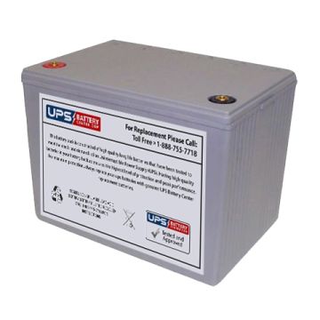 EnerSys HX300 Battery