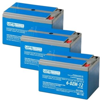 6-DZM-12 - 36V 12Ah - Deep cycle 36V 12Ah mobility battery set
