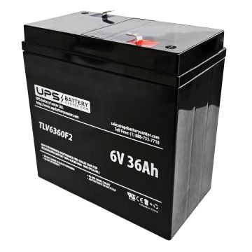 Dantona 6V 36Ah LEAD-6-36T-PS Battery with F2 Terminals
