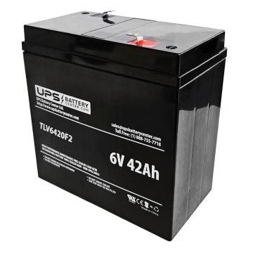 Dual Lite 6V 42Ah 12EDA301 Battery with F2 Terminals
