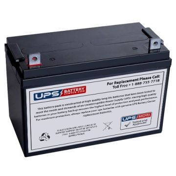 ELS 12V 100Ah EDS12800B Battery with NB Terminals