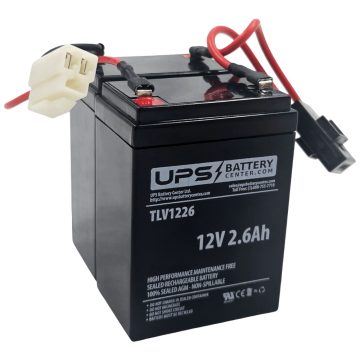 Razor W13112430185 Compatible replacement battery set for E200, E300, RX200